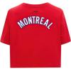 Pro Standard NHL Womens Womens NHL Classic Chenille Cotton Short Sleeve Boxy Tee(Red)