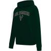Pro Standard NBA womens Womens Nba Classic Chenille Brushed Back French Terry Pull Over Hoodie(Forest Green)