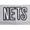 Pro Standard NBA womens Womens Nba Classic Chenille Brushed Back French Terry Pull Over Hoodie(Heather Grey)