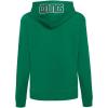 Pro Standard NBA womens Womens Nba Classic Chenille Brushed Back French Terry Pull Over Hoodie(Kelly Green)