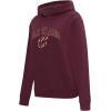 Pro Standard NBA womens Womens Nba Classic Chenille Brushed Back French Terry Pull Over Hoodie(Wine)