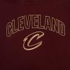 Pro Standard NBA womens Womens Nba Classic Chenille Brushed Back French Terry Pull Over Hoodie(Wine)