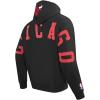 Pro Standard Mens NBA Classic Chenille Pull Over Hoodie(Washed Warm Slate)