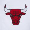 Pro Standard Mens NBA Souvenir Button Down(White/Red)