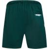 Pro Standard Mens NBA Souvenir Mesh Short(Forest Green)