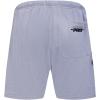 Pro Standard Mens NBA Souvenir Mesh Short(Gray)