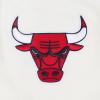 Pro Standard NBA Mens Mens NBA Retro Cascade Cotton Short Sleeve Tee(Eggshell/ Red)
