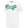 Pro Standard NBA Mens Mens NBA Souvenir Cotton Short Sleeve Tee(White)