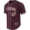 Mens NBA Mesh Button Down Top(Wine)