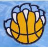 Pro Standard NBA mens Mens Nba Retro Classics Satin Jacket(University Blue)