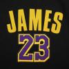 Pro Standard Womens NBA Los Angeles Lakers Lebron James #23 Classic Player Cropped Pullover Hoodie Black M