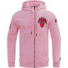 Pro Standard NBA mens Mens Nba Classic Chenille Cotton Double Knit Full Zip Hoodie(Pink)