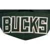 Pro Standard Mens NBA Classic Chenille Pull Over Hoodie(Forest Green)