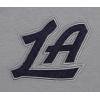 Pro Standard Mens NBA Classic Chenille Pull Over Hoodie(Gray)