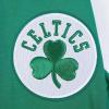 Pro Standard Mens NBA Classic Chenille Pull Over Hoodie(Green)