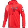 Pro Standard Mens NBA Classic Chenille Pull Over Hoodie(Red)