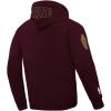 Pro Standard Mens NBA Classic Chenille Pull Over Hoodie(Wine)
