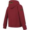 Pro Standard Big Boys NBA Classic Chenille Fleece Pull Over Hoodie(Cardinal Red)