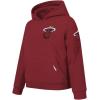 Pro Standard Big Boys NBA Classic Chenille Fleece Pull Over Hoodie(Cardinal Red)