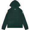 Pro Standard Big Boys NBA Classic Chenille Fleece Pull Over Hoodie(Forest Green)
