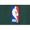 Pro Standard Big Boys NBA Classic Chenille Fleece Pull Over Hoodie(Forest Green)