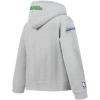 Pro Standard Big Boys NBA Classic Chenille Fleece Pull Over Hoodie(Heather Grey)
