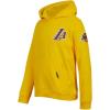 Pro Standard Big Boys NBA Classic Chenille Fleece Pull Over Hoodie(Yellow)