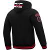 Pro Standard Mens NHL Retro Classics Brushed Back French Terry Pull Over Hoodie(Black)