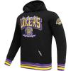 Pro Standard Mens NHL Split Logo Cotton Double Knit Pull Over Hoodie(Black/Purple)