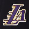 Pro Standard Mens NHL Split Logo Cotton Double Knit Pull Over Hoodie(Black/Purple)