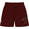 Pro Standard NBA Womens Womens NBA Classic Chenille Brushed Back French Terry Fleece Short(Wine)