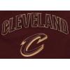 Pro Standard NBA Womens Womens NBA Classic Chenille Brushed Back French Terry Fleece Short(Wine)