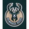 Pro Standard NBA mens Mens Nba Classic Chenille Cotton Double Knit Full Zip Hoodie(Forest Green)