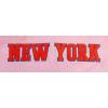 Pro Standard NBA mens Mens Nba Classic Chenille Cotton Double Knit Full Zip Hoodie(Pink)