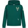 Pro Standard Big Boys NBA Classic Chenille Fleece Pull Over Hoodie(Forest Green)