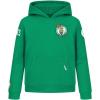 Pro Standard Big Boys NBA Classic Chenille Fleece Pull Over Hoodie(Kelly Green)