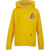 Pro Standard Big Boys NBA Classic Chenille Fleece Pull Over Hoodie(Yellow)