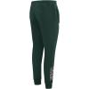 Pro Standard NBA Womens Womens NBA Classic Chenille Brushed Back French Terry Sweatpant(Forest Green)