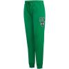 Pro Standard NBA Womens Womens NBA Classic Chenille Brushed Back French Terry Sweatpant(Kelly Green)