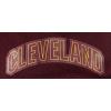 Pro Standard Mens NBA Mesh Short(Wine)