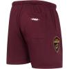 Pro Standard Mens NBA Mesh Short(Wine)