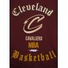 Pro Standard Mens NBA Old English Brushed Back French Terry Crewneck Sweatshirt(Wine)