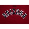 Womens NFL Classic Chenille Cotton Single Jersey Short Sleeve Boxy Tee(Cardinal Red)