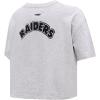 Womens NFL Classic Chenille Cotton Single Jersey Short Sleeve Boxy Tee(Heather Grey)