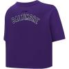 Womens NFL Classic Chenille Cotton Single Jersey Short Sleeve Boxy Tee(Purple)