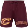 Pro Standard Mens NBA Mesh Short(Wine)