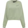 Pro Standard Womens NHL Neutral Cropped Pullover Hoodie(Moss)