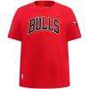 Big Boys NBA Classic Chenille Cotton Short Sleeve Tee(Red)
