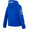 Pro Standard Big Boys NBA Golden State Warriors Stephen Curry #30 Classic Player Pull Over Hoodie Royal Blue S