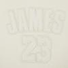 Pro Standard Big Boys NBA Los Angeles Lakers Lebron James #23 Neutrals Player Pull Over Hoodie Eggshell S